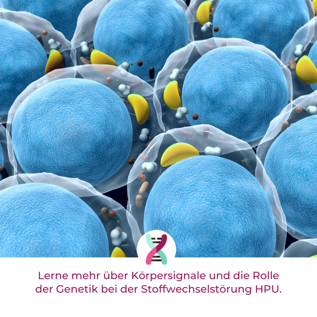Was ist HPU?