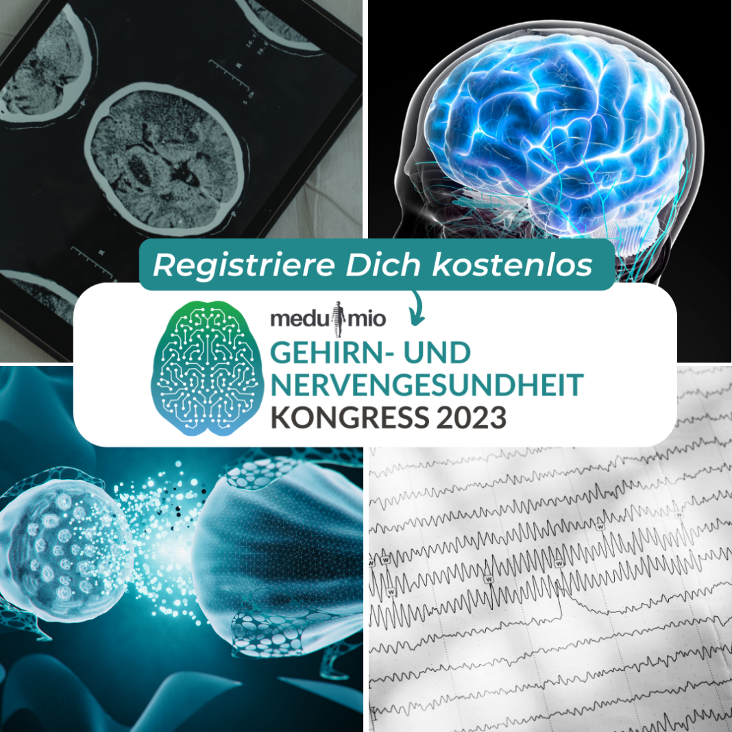 Gehirn- und Nervengesundheit