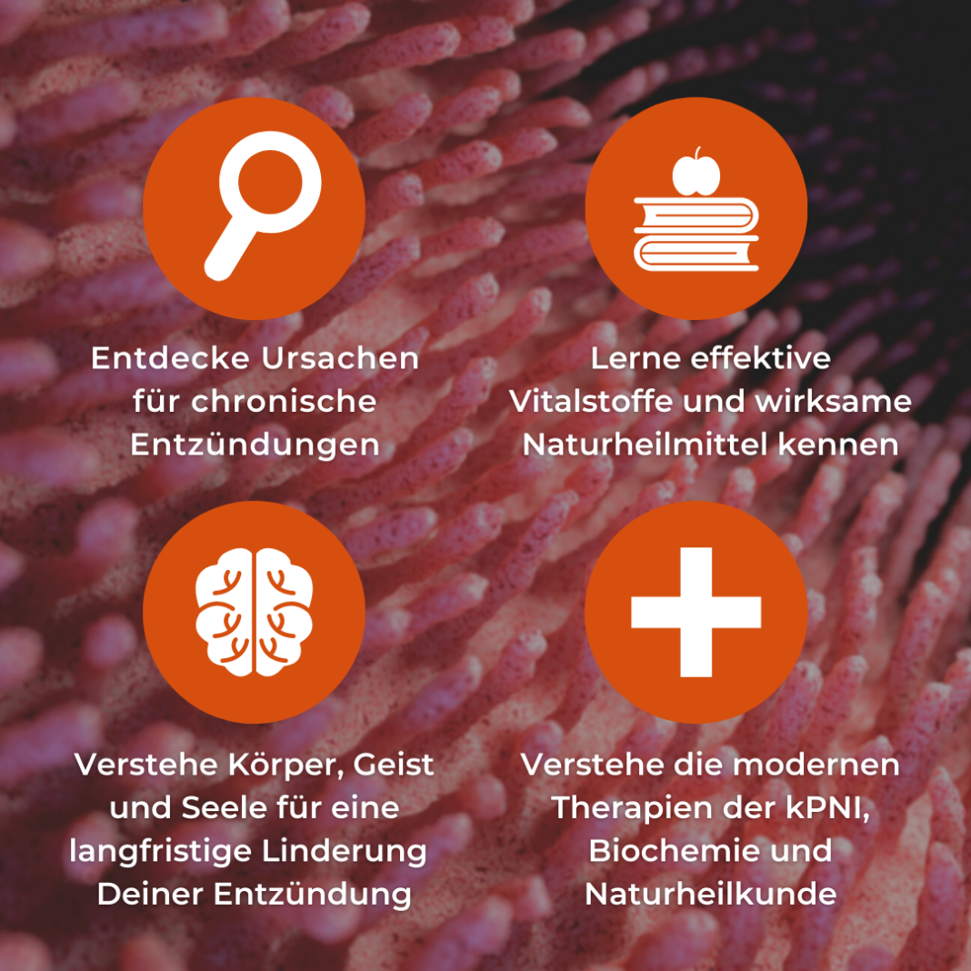 was der Kongress chronische Entzündungen dir bringt